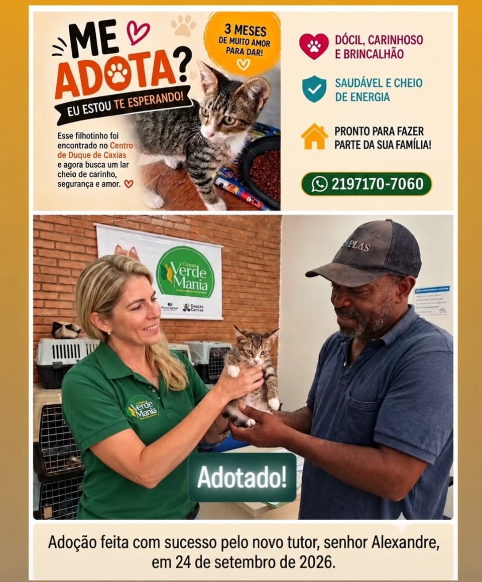 Gatinho adotado pelo senhor Alexandre em 24 de setembro de 2026, ao lado da equipe do Grupo Verde Mania